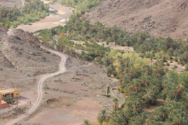 Fas 'ta Ouarzazate yakınlarında Fint Oasis