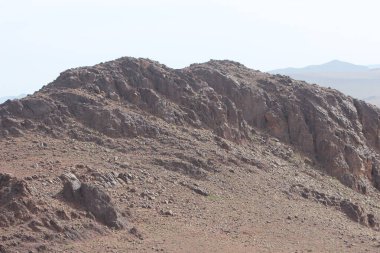 Fas 'ta Ouarzazate yakınlarında Fint Oasis Oasis adında bir vaha bulduk.