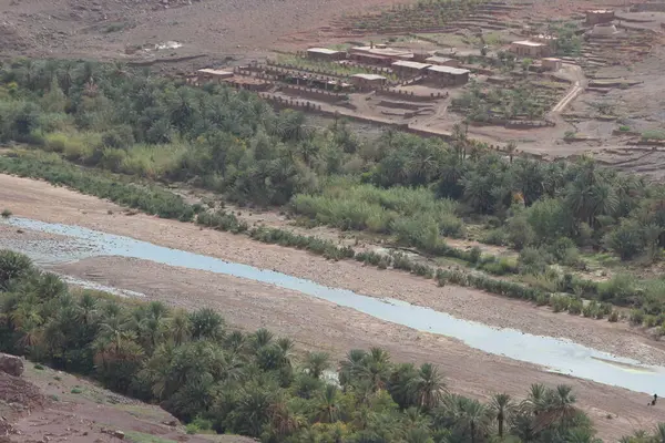Fas 'ta Ouarzazate yakınlarında Fint Oasis Oasis adında bir vaha bulduk.