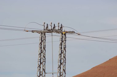 Elektrik direğine kablolarla güç ver.