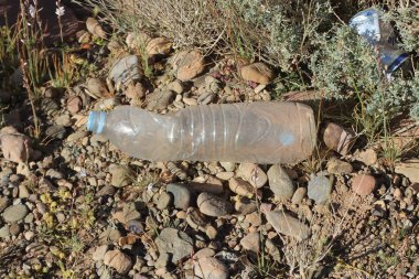 Plastik Şişe Yerde Yatıyor