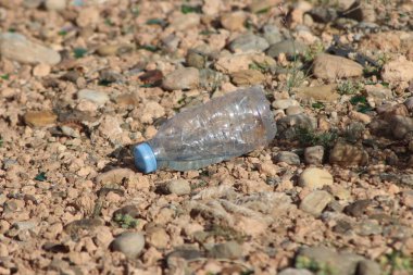 Plastik Şişe Yerde Yatıyor