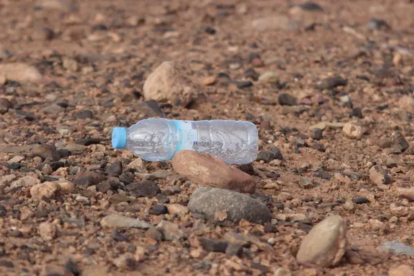 Plastik Şişe Yerde Yatıyor