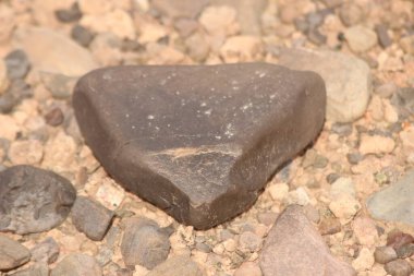 Yerdeki siyah bir taşın yakın çekim görüntüsü.