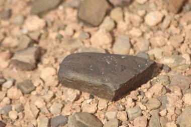 Yerdeki siyah bir taşın yakın çekim görüntüsü.