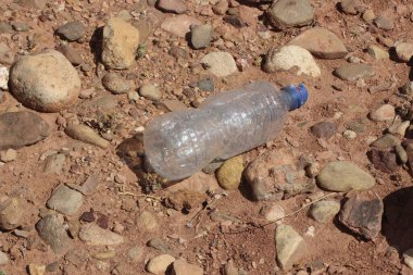 Yerde yatan boş plastik şişe