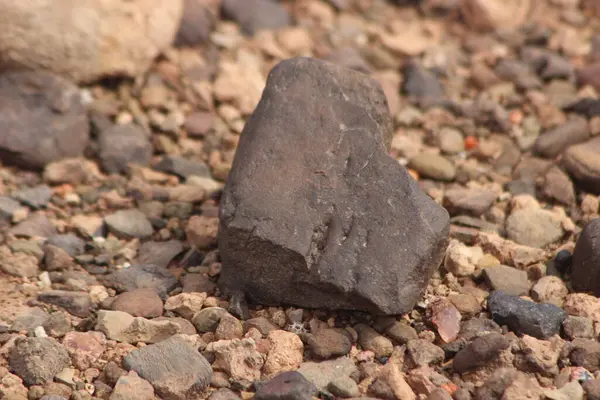 Yerdeki siyah bir taşın yakın çekim görüntüsü.