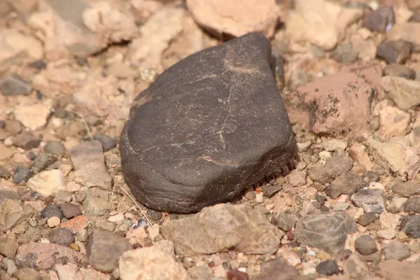 Yerdeki siyah bir taşın yakın çekim görüntüsü.
