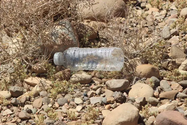 Yerde yatan boş plastik şişe