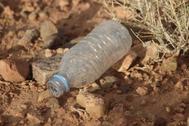 Plastik şişe yerde yatıyor.