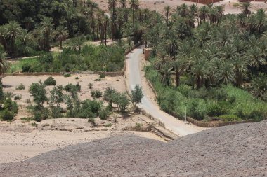 Ouarzazate Fas 'taki Fint Oasis, Finnt Oasis