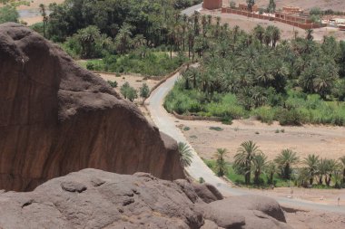 Ouarzazate Fas 'taki Fint Oasis, Finnt Oasis