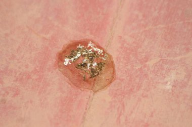 Kuş boku yere sıçtı.