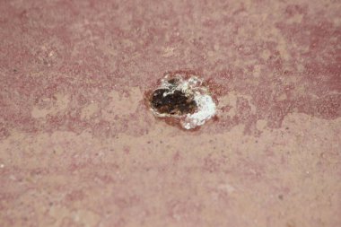 Kuş boku yere sıçtı.