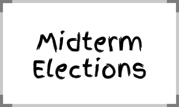 Среднесрочные выборы в США