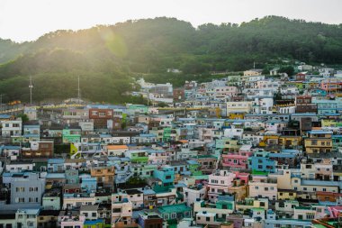 Titrek evler Busan 'ın dik yamacında, batan güneşin uzaktaki altın parıltısıyla aydınlatılıyor.