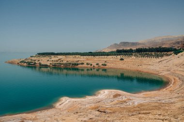 Ziyaretçiler, eşsiz tuz oluşumları ve gün ışığında büyüleyici manzaralarla çevrili Ürdün 'deki Ölü Deniz' in sakin kıyılarının keyfini çıkarıyorlar..