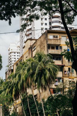 Şehir binaları Kuala Lumpur 'da bereketli palmiyelerin yanında duruyor, doğa ve şehir yaşamının karışımını gözler önüne seriyor.