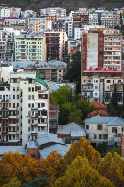 Resimli bir manzara modern mimarinin bir karışımını ortaya koyuyor altın yapraklar arasında, şehir yaşamını güzel bir şekilde yakalıyor.
