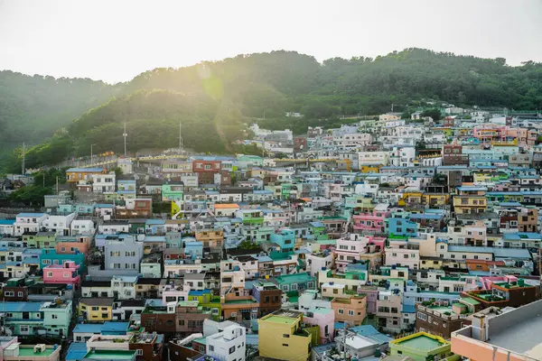 Dönme dolap ağaçların üzerinden yükselirken, gün batımında çarpıcı bir gökyüzü tarafından çerçevelenirken Eski Tiflis 'in cazibesini hissedin.