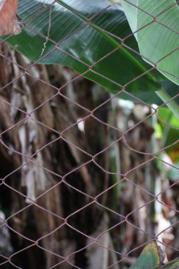 Yakın plan, yıpranmış tel örgülerin bir bölümünü yakalıyor..
