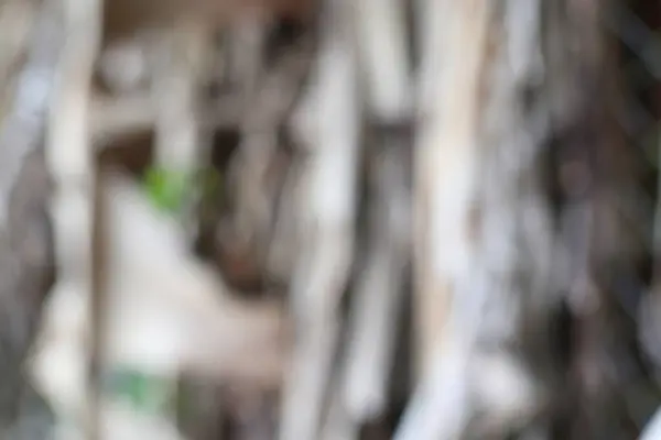 Bulanık, odak dışı bir resim gösterilir.