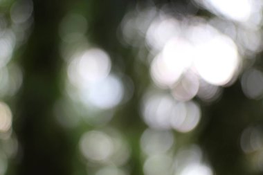 Bu soyut resim, yumuşak beyaz ve yeşil dairelerle çözünmüş bir görünüm sergiliyor ve bir bokeh etkisi yaratıyor. Bulanık, aydınlık estetiğiyle arka plan olarak kullanılabilir ya da örtülebilir..