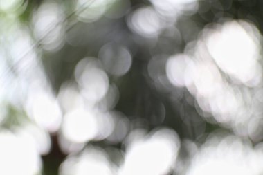 Beyaz bokeh daireli yumuşak, bulanık bir arkaplan içeren rüya gibi ve soyut bir görüntü. Bileşim derinlik ve manevi kalite hissi yaratıyor. Işık ve gölge oyunu çok yönlü ve sanatsal bir dokuya yol açar..