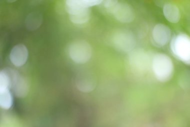 Bulanık yeşil ve beyaz dairesel şekilleri gösteren soyut görüntü bir bokeh etkisi yaratıyor. Bu resim çeşitli tasarım amaçları için bir arkaplan veya doku olarak kullanılabilir..