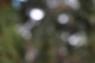 Bu resim, yeşil ve beyaz tonlarında çeşitli dairesel ışıklarla, yumuşak, odak dışı bir bokeh etkisine sahiptir. Görüntünün bulanık doğası ona ruhani, soyut bir his verir, onu arka plan için uygun kılar ya da örtülü amaçlar için.