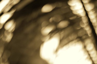 Bokeh efektleriyle soyut, altın bulanık arka plan yumuşak ve rüya gibi bir atmosfer yaratıyor. Üst üste koymak ya da eski bir dokunuş eklemek için ideal.