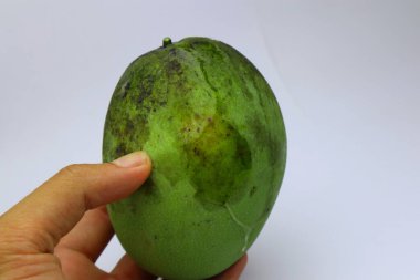 Yakın plan çekimde, beyaz arka planda taze, yeşil bir mangoyu nazikçe tutan bir el görülüyor. Mangonun canlı yeşil rengi doğal dokusunu ve şeklini vurgulayarak nötr arkaplanla güzel bir tezat oluşturuyor. Görüntü yakalar 