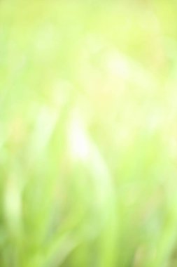 Yumuşak, bulanık yeşiller sakin ve soyut bir zemin oluşturur. Projelerinize doğanın sükunetini ve tazeliğini katmak için mükemmeldir..