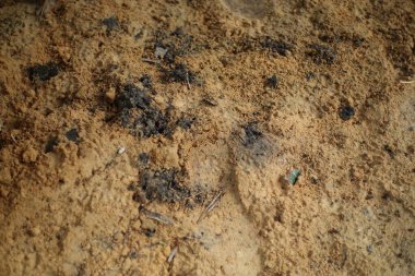 Yapılandırılmış bir dünya yüzeyine yakın çekim, tanecikli detaylar ve jeolojik bir zemin için karanlık içeriklerle.