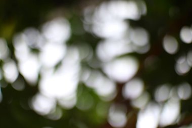 Yumuşak bokeh ışıkları olan sakin soyut doğa, ruhani arkaplanlar için ideal..