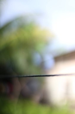 Bulanık, yumuşak odak çekimi gerilmiş bir iplik, bokeh arka planı, bağlantıyı ve doğanın hassas dengesini sembolize ediyor..
