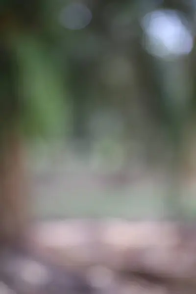 Yeşil ve kahverengi renkli ve bokeh efektli soyut bulanık doğa arkaplanı.