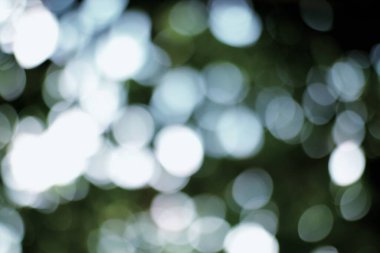 Yumuşak yeşil ve beyaz ışıkları olan rüya gibi soyut bokeh arka plan. Çeşitli yaratıcı projeler için huzurlu ve sanatsal bir zemin, bir huzur ve sükunet hissi taşıma.