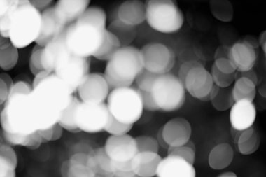 Çarpıcı tek renkli bokeh, yumuşak, bulanık bir ışık ve gölge dansı sergiliyor. Projenize derinlik ve soyut güzellik eklemek için çok yönlü bir arkaplan.