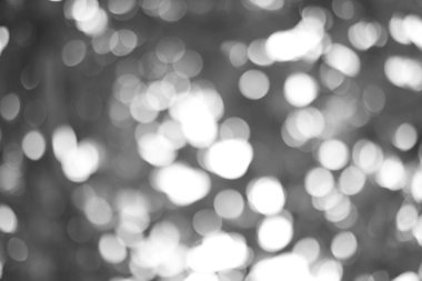 Yumuşak, bulanık bokeh efektlerini içeren soyut bir monokromatik arkaplan, yumuşak ışık ve gölge etkileşimi ile dokulu ve rüya gibi bir kompozisyon oluşturur..