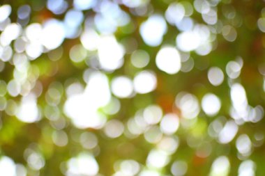 Yeşil ve beyaz tonlarında yumuşak ve rüya gibi bokeh ışıkları çok yönlü kullanım için soyut ve görsel olarak çekici bir arkaplan oluşturur.