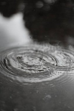 Su dalgalanmalarının büyüleyici tek renkli görüntüsü büyüleyici bir şablon yaratıyor. Akıcı hareket ve yansımalar sükuneti ve minimalist güzelliği çağrıştırıyor.