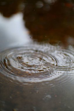 Su dalgalarını ve yansımalarını yakalayan yakın çekim. Bu huzurlu görüntü huzur ve sükuneti çağrıştırıyor, arka planlar için mükemmel ya da doğal güzellikleri yansıtıyor..