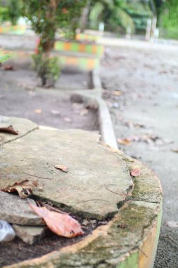 Bahçe ortamında yıpranmış beton bir yüzeyde dinlenen yaprakların yer aldığı sakin bir sahne, sonbahara geçişi akla getiriyor..