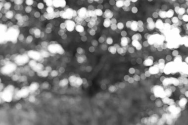 Soyut bir bokeh arkaplan, siyah ve beyaz tonlarını rüya gibi, parlak, bulanık, dairesel şekiller şeklinde harmanlıyor. Minimalist ve ruhani bir dekoratif etki..