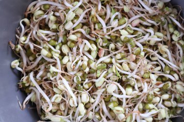 Bol miktarda taze fasulye filizinin yakın plan çekimi, hafif ve besleyici bir yemek için mükemmel..