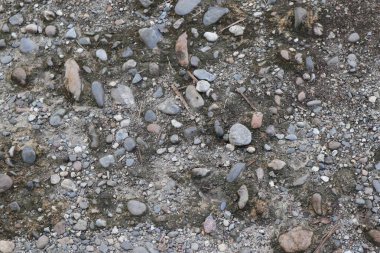 Çakıl ve çakıl taşlı desenli bir yüzey. Sahne, araziye dağılmış çeşitli taş boyutları sergiliyor..