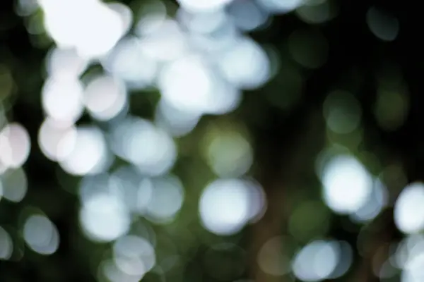 Bulanık yeşillik boyunca ışık ve gölgenin etkileşimini içeren soyut bir kompozisyon. Bokeh efektleriyle ruhani, rüya gibi bir atmosfer yaratır..