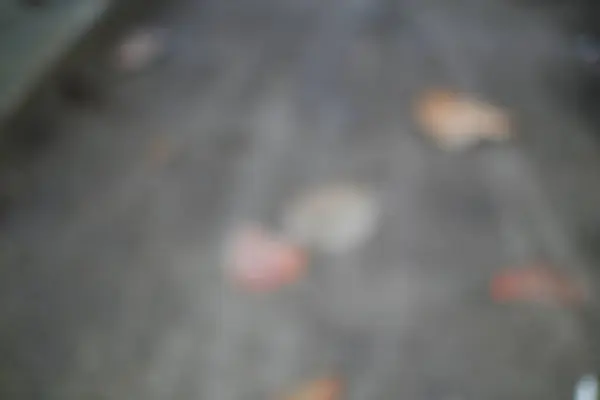 Yumuşak, bulanık bir görüntü sonbaharın esansını sessiz tonlarla yakalıyor. Gri, dokulu bir yüzeye dağılmış düşen yapraklar soyut bir mevsimsel arkaplan oluşturuyor..