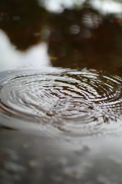 Bir su yüzeyindeki hassas dalgaları yakalayan yakın çekim. Eş merkezli çemberler, sessiz renkleri ve ışığı ince dinamizmle yansıtan soyut bir şablon oluşturur..